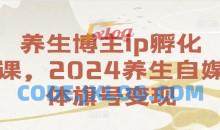 养生博主ip孵化课，2024养生自媒体旗号变现