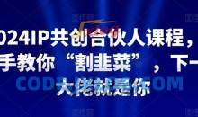 2024IP共创合伙人课程，手把手教你“割韭菜”，下一个大佬就是你