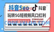 抖音SEO引流培训课程-抓住抖音风口，实现搜索排名，获取精准流量，快速成交变现