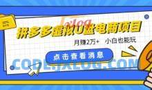 拼多多虚拟U盘电商红利项目：月赚2万+，新手小白也能玩