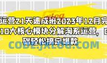 淘系运营21天速成班2023年12月完整版，10大核心模块分解淘系运营，0基础轻松搞定爆款
