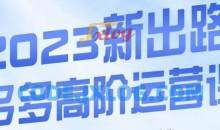 大炮·多多高阶运营课，3大玩法助力打造爆款，实操玩法直接亮出干货