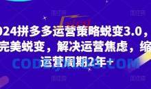 2024拼多多运营策略蜕变3.0，0-1完美蜕变，解决运营焦虑，缩短运营周期2年+