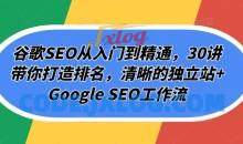谷歌SEO从入门到精通，30讲带你打造排名，清晰的独立站+Google SEO工作流