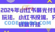 2024年小红书聚光付费玩法，小红书投流，充钱就开挂