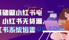 零基础做小红书电商，小红书无货源，小红书系统运营
