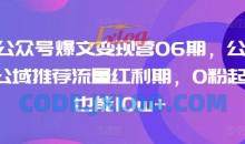 AI公众号爆文变现营06期 0粉起号也能10w+