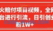 爆火赔付项目视频，全网平台进行引流，日引创业粉1W+【揭秘】