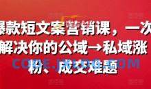 爆款营销文案课，一次解决你的公域→私域涨粉、成交难题