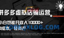 拼多多虚拟店铺运营小白也能月收入10000+【揭秘】