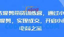 小红书混剪带货训练营搬运混剪电商之旅