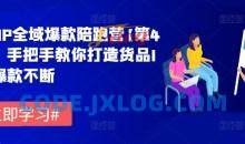 货品IP全域爆款陪跑营【第4期】，手把手教你打造货品IP，爆款不断