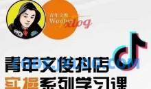 青年文俊线上抖店实操课
