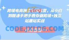 跨境电商独立站训练营，从小白到精通手把手教你做跨境+独立站建站实战