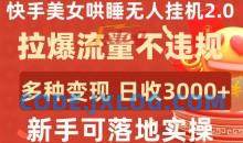 快手美女哄睡无人挂机2.0多种变现途径日收3000+