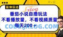 番茄小说自撸玩法，不看播放量，不看视频质量