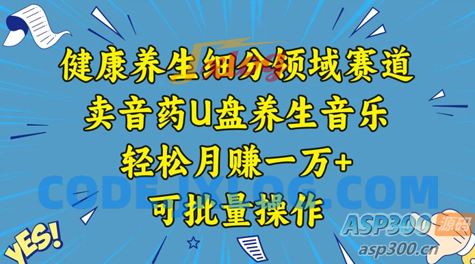 健康养生赛道：U盘养生音乐，轻松月入过万，批量操作方法分享
