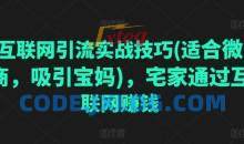互联网引流实战技巧(适合微商，吸引宝妈)，宅家通过互联网赚钱