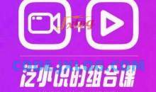 2024巨星计划：泛小识综合课程，剪辑+抖加+短视频