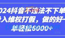 2024抖音不违法不下单0投入维权打假，做的好一单轻松6000+