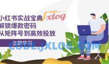 小红书打爆款实战课，解锁爆款密码，从矩阵号到高效投放