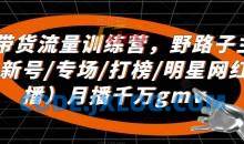 直播带货流量训练营，​野路子主播（起新号/专场/打榜/明星网红助播）月播千万gmv