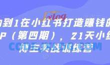 从0到1在小红书打造赚钱的个人IP（第四期），21天小红书博主实战训练营