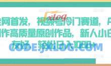 全网首发，视频号冷门赛道，AI制作高质量原创作品，轻松日入1000+