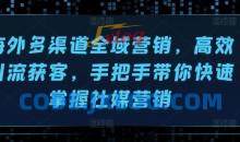 海外多渠道全域营销，高效引流获客，手把手带你快速掌握社媒营销
