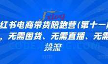 小红书电商带货陪跑营(第十一期)，无需囤货、无需直播、无需投流