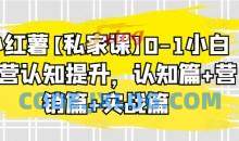 小红薯私家课0-1小白运营认知提升，认知篇+营销篇+实战篇