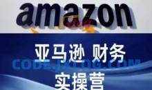 亚马逊财务核算实操营-亚马逊跨境电商教程