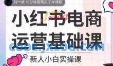 小红书电商运营基础课，新人小白实操课