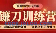 2024年普通人如何利用知识付费项目年入百万，实现财富自由