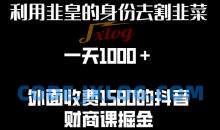 利用非皇的身份去割韭菜，一天1000+(附详细资源)