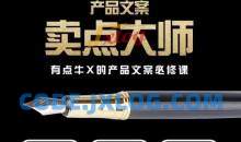产品文案【卖点大师】高转化电商，有点牛X的产品文案必修课