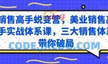 销售高手蜕变营，美业销售高手实战体系课，三大销售体系带你破局