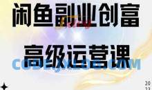 闲鱼电商运营高级课程，一部手机学会闲鱼开店赚钱