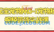 元宝宠物从0~1宠物短视频带货实战课