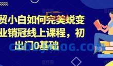 外贸小白如何完美蜕变行业销冠线上课程，初出门0基础