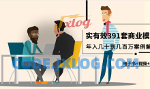 真实有效391套商业模式，年入几十到几百万案例解析（电子书+视频+图文）