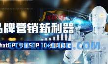 品牌营销新利器：ChatGPT专属SOP，70+提问模板