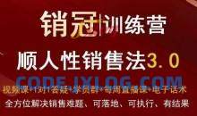 爆款！销冠训练营3.0之顺人性销售法，全方位解决销售难题、可落地、可执行、有结果