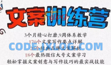 龙小天《文案训练营》全面系统解决文案写作难题