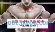 男性坚挺持久的秘诀——PC肌训练法