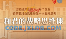 和君的战略思维课－企业困局突破/高管职业突围/财富机会洞察