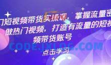 热门短视频带货实操课，掌握流量密码，做热门视频，打造有流量的短视频带货账号