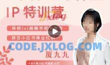 夏九九·28天小红书博主IP特训营《第7期》抓住小红书商业红利