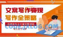 自媒体专业文案写作多套课程合集，月入10W+写作策略，教你从零开始学写作