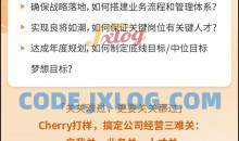 创业酵母_给老板的企业成功方程式（张丽俊）